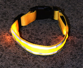 LED Dog Collar