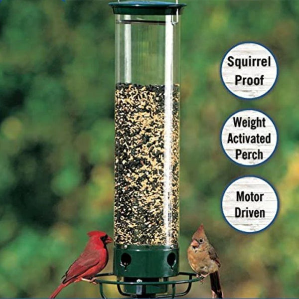 Squirrel-Proof Bird Feeder