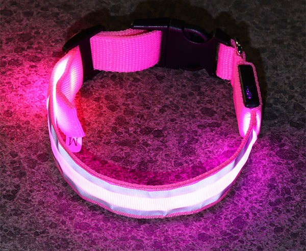 LED Dog Collar