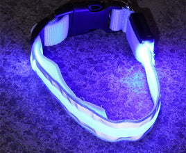 LED Dog Collar